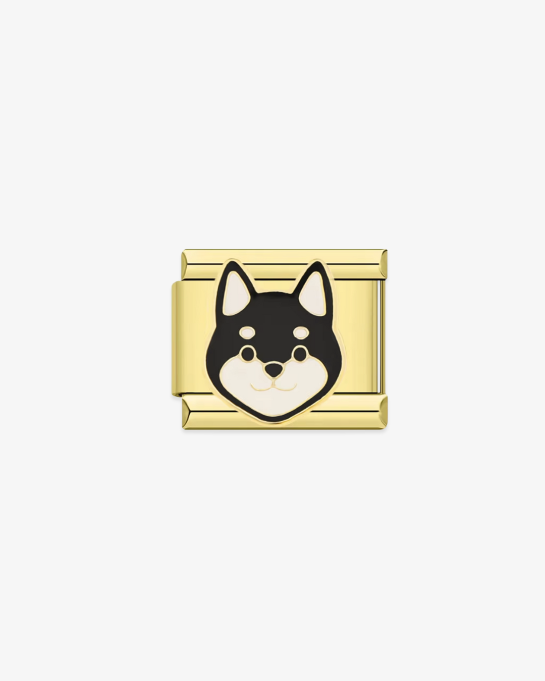Black Shiba