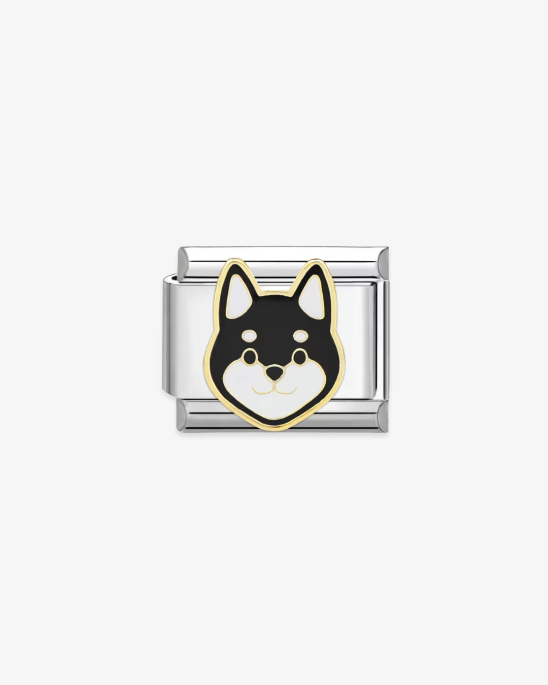 Black Shiba