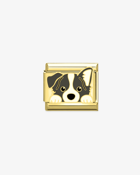 Charm dorado de acero inoxidable personalizable, compatible con pulseras italianas tipo Nomination. Diseño elegante, ideal para crear combinaciones únicas y expresar tu estilo personal. Charms de animales.  Charms de perros.