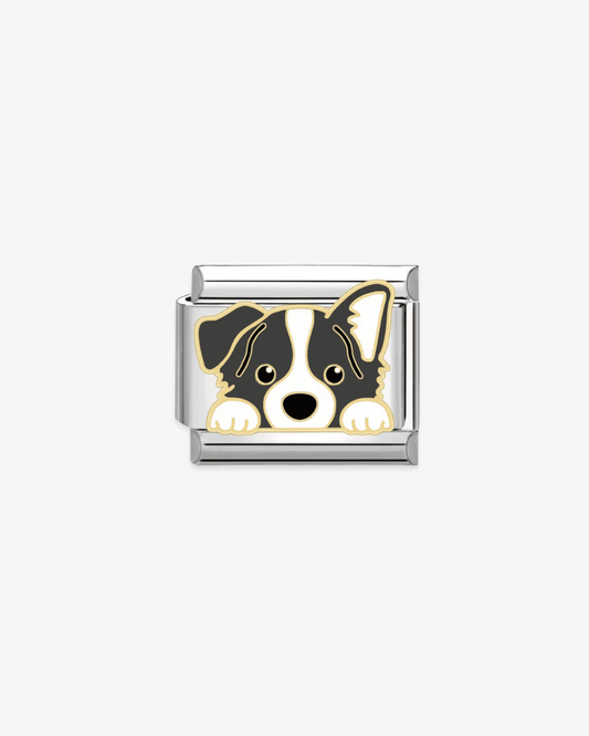 Charm plateado de acero inoxidable personalizable, compatible con pulseras italianas tipo Nomination. Diseño elegante, ideal para crear combinaciones únicas y expresar tu estilo personal. Charms de animales. Charms de perros.