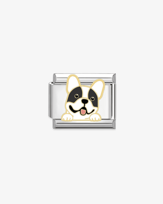 Charm plateado de acero inoxidable personalizable, compatible con pulseras italianas tipo Nomination. Diseño elegante, ideal para crear combinaciones únicas y expresar tu estilo personal. Charms de animales. Charms de perros.