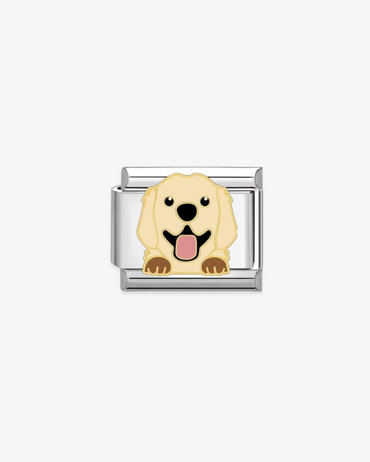 Charm plateado de acero inoxidable personalizable, compatible con pulseras italianas tipo Nomination. Diseño elegante, ideal para crear combinaciones únicas y expresar tu estilo personal. Charms de animales. Charms de perros.