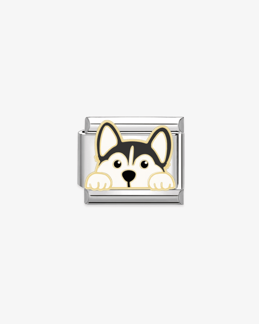 Charm plateado de acero inoxidable personalizable, compatible con pulseras italianas tipo Nomination. Diseño elegante, ideal para crear combinaciones únicas y expresar tu estilo personal. Charms de animales.  Charms de perros.